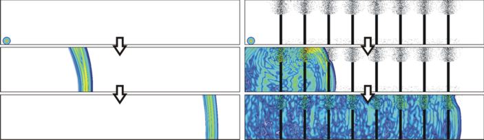 sound propagation through tree belt