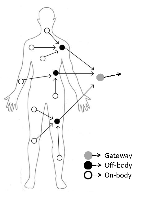 Adapted from Rahman et al.  2011